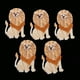 thumbnail image 1 of Paquete de 5 para Planchar para Coser en Una Insignia de Animal, Adhesivo para de Bricolaje León Macarena Bordado Aplique Parche, 1 of 8