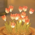 thumbnail image 2 of 10 tulipanes rosados (entregados sin baterías) Internet celebridad tulipán hecho a mano luz de la noche DIY material paquete como regalo de cumpleaños para la decoración, lámpara de ambiente, 2 of 8