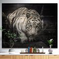 thumbnail image 2 of Design Art - White Tiger, 2 of 5