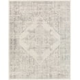 thumbnail image 4 of Hauteloom Tamarama Hallway, Kitchen Runner Rug - Traditional - Gray - 2'7" x 10', 4 of 13