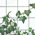 thumbnail image 4 of 100 pinzas de plástico para plantas, pinzas para injerto, pinzas para flores, pinzas fijas para jardinería, frutas y flores., 4 of 6