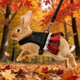 thumbnail image 5 of RKSTN Polyester traction rope harness Rabbits Leash And Strap Set Pet Traction Rope And Vests Strap Suitable For Rabbits pet supplies, 5 of 5