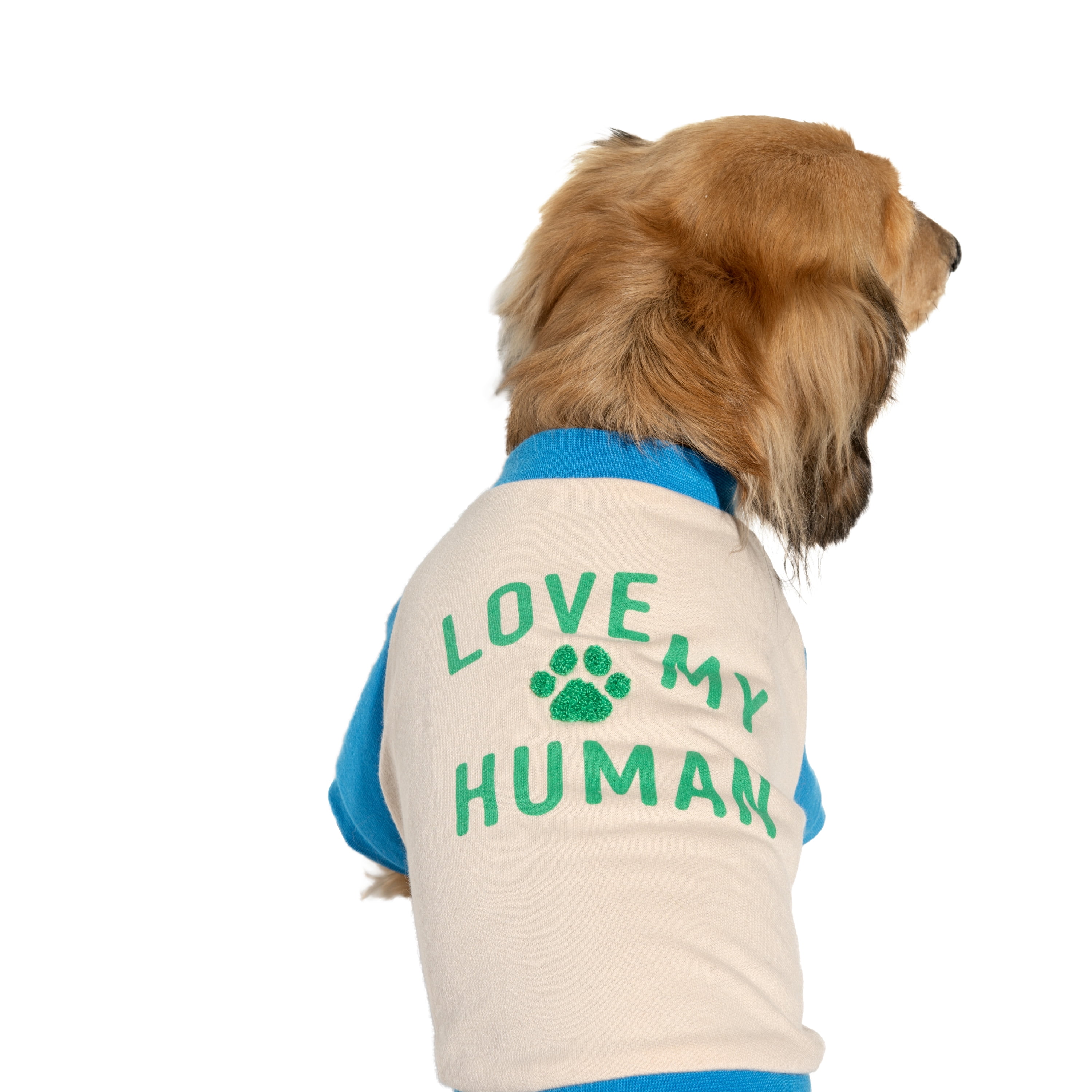 Oodles Blue Love My Human Spring Raglan Dog T-Shirt, Medium