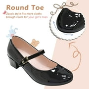 HOMEHOT Girls Mary Jane Shoes Casual Princess Ballerina Dress Shoes Low Heels Slip on Flat Shoes for School Party Wedding Black Size 1