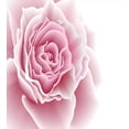thumbnail image 3 of Pale Pink Duvet Cover Set, Romantic Rose Petals Beauty Bouquet Celebration Bridal Romance Wedding Theme, Decorative 3 Piece Bedding Set with 2 Pillow Shams, Calking Size, Pale Pink White, by Ambesonne, 3 of 3