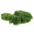 thumbnail image 4 of Moss Artificial Planters Decorative Indoor Use 30.00X30.00X1.00CM 1 Pack Perfect For Home Office, 4 of 4