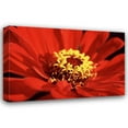 thumbnail image 1 of Bob Stefko 32x23 Gallery Wrapped Canvas Wall Art Titled - Red Zinnia I, 1 of 4