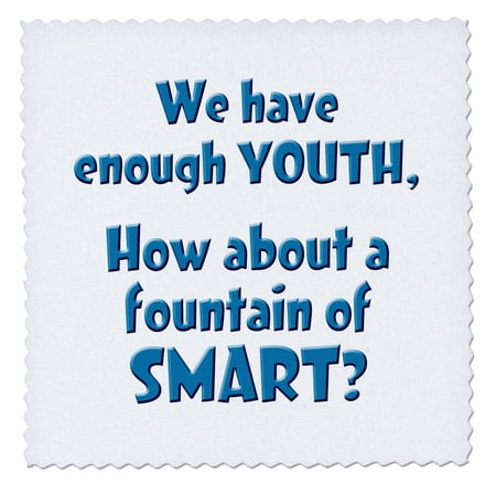 3drose Humor With Fountain Of Smart Quilt Square 6 By 6 Inch - 