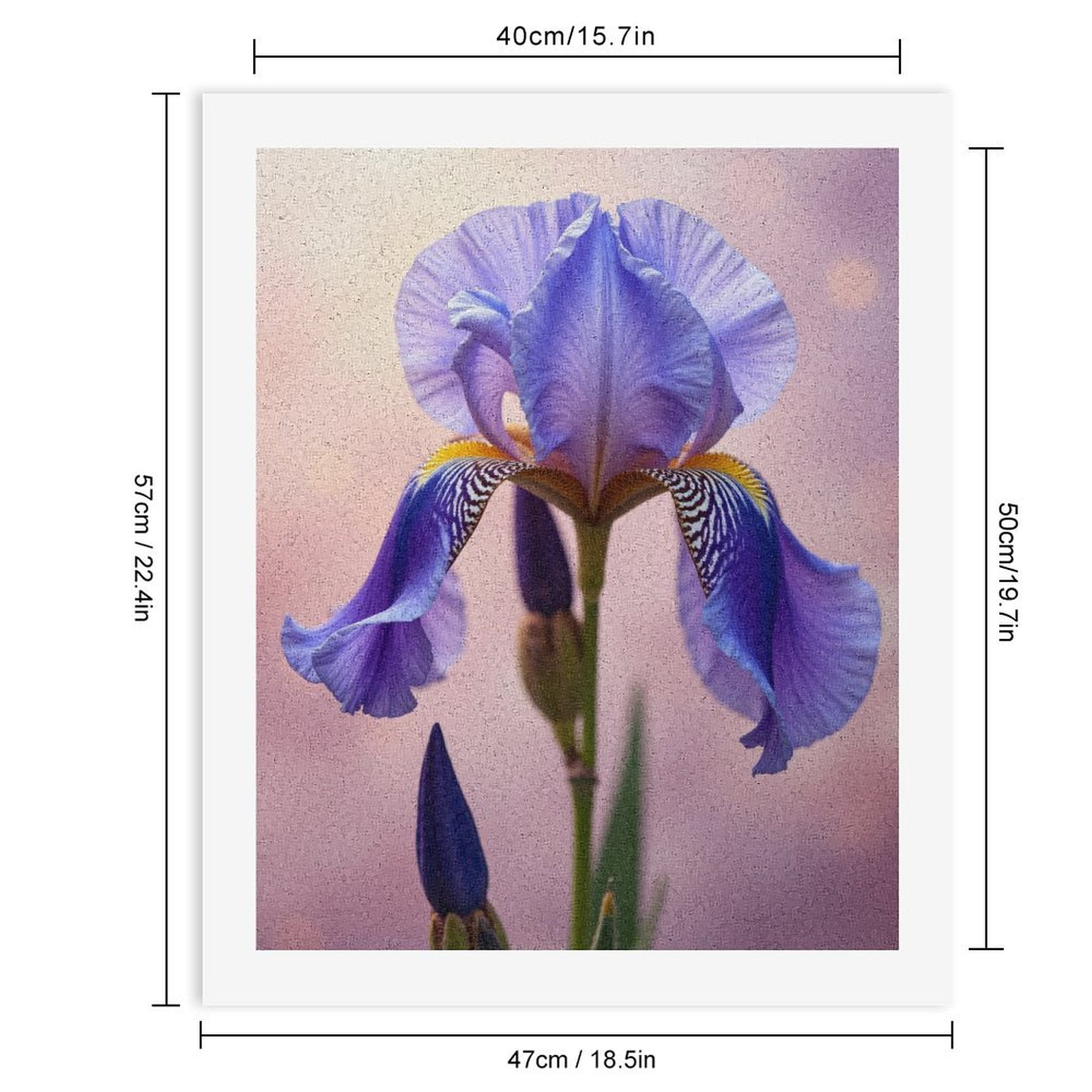 Paint by Numbers Kit for Adults, Purple Iris Flower Blossom Paint by Numbers, Easy Paint by Numbers Kit for Adults Beginner, DIY Adult Paint by Number Kits on Canvas, Home Decor