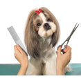 thumbnail image 5 of Peine para el cuidado de mascotas BRILLAR de acero inoxidable para perros y gatos 19 x 4 cm, 5 of 5