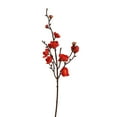 thumbnail image 1 of Botella Flor Planta Boda Bonsai Flor Viento Decoración Bokeh flores, 1 of 2