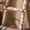 thumbnail image 5 of White Birch Wood Decorative Ladder, 5 of 8