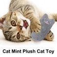 thumbnail image 4 of 3 juguetes de interior para gatos, juguetes de peluche para masticar, limpieza de dientes, juguetes suaves para mascotas, juguetes interactivos para morder., 4 of 5