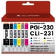 thumbnail image 1 of Cartuchos de tinta ALLWORK PGI-230 CLI-231, paquete de 6 unidades para Canon, 1 of 6
