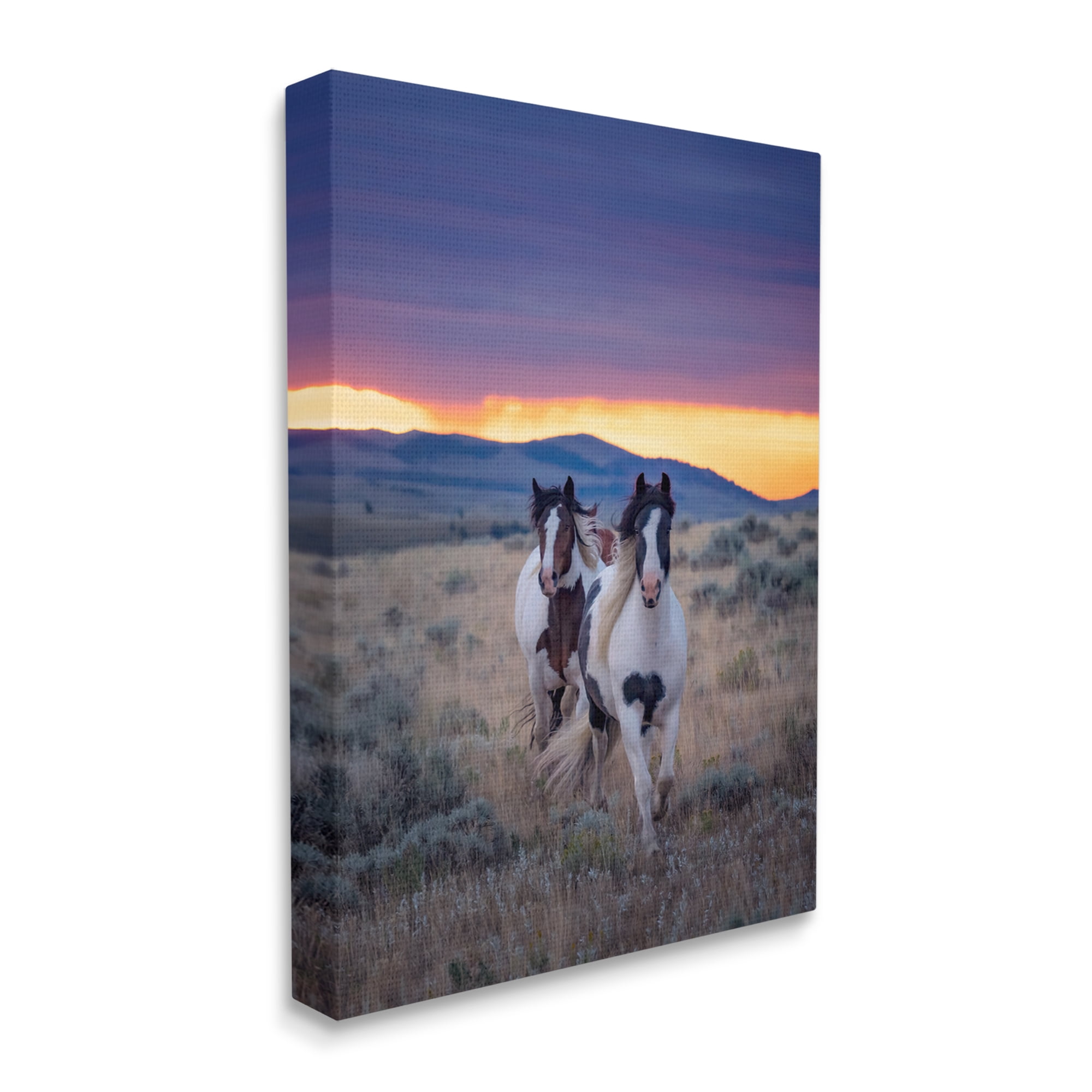 Stupell Industries Spotted Horses at Sunrise Animals & Insects Photography Gallery Wrapped Canvas Art Print Wall Art, 30 x 40