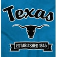 thumbnail image 2 of Texas Cute Cursive TX Souvenir Men's Graphic T Shirt Tees Brisco Brands S, 2 of 6
