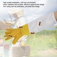 View all media