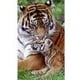 thumbnail image 1 of Cuadros Decorativos Tigre mamá e hijo taladro redondo completo mosaico diamante pintura DIY Animal Rhinestone JShteea Nuevos Originales, 1 of 8