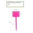 thumbnail image 3 of Gardening Labels, Succulent Labels, Insert Gardening Labels, Pink, 3 of 5