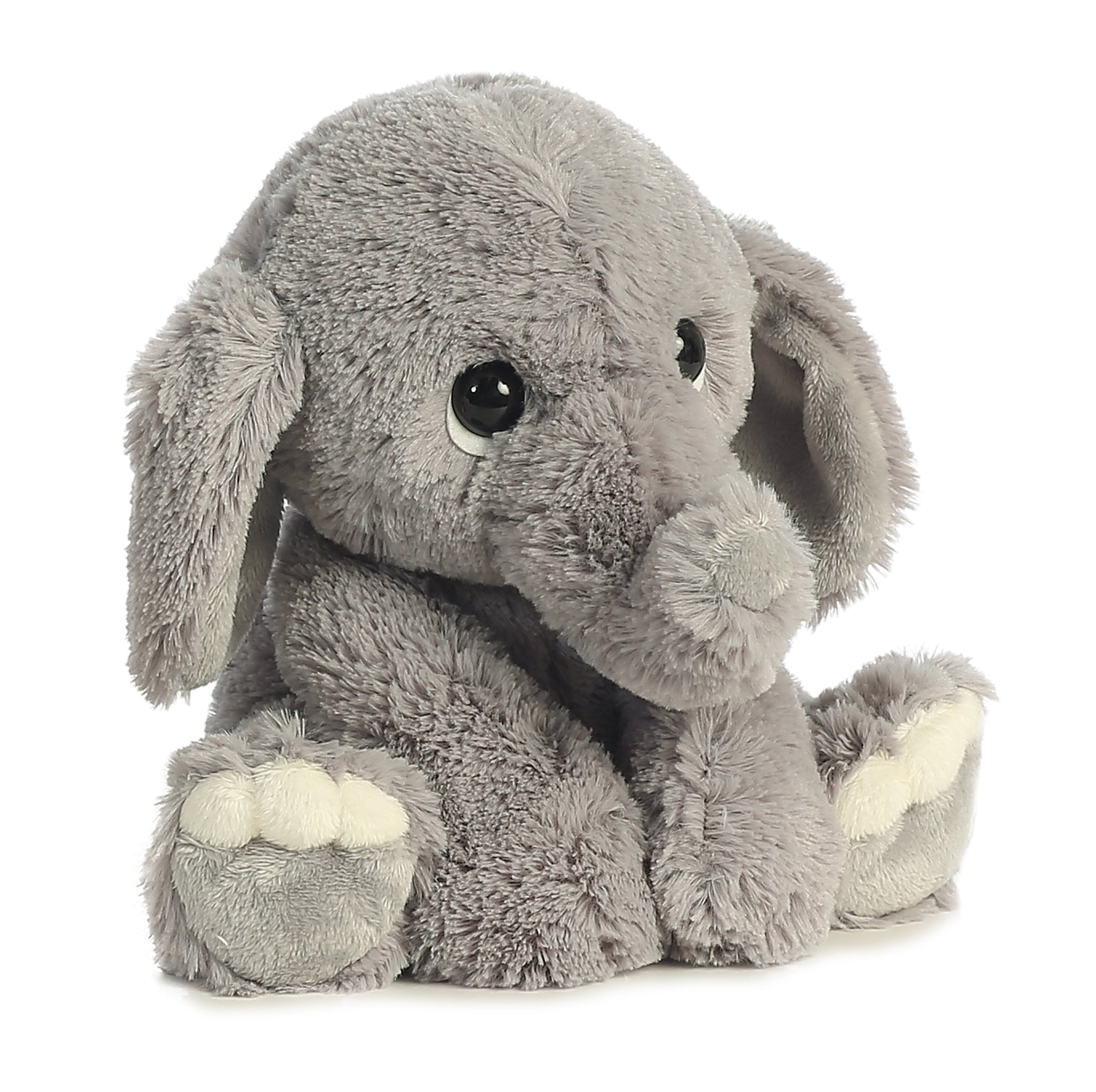 lil benny phant