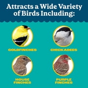 Pennington Feeding Frenzy Finch Favorite, Wild Bird Seed Mix, Bird Food, 10 lb