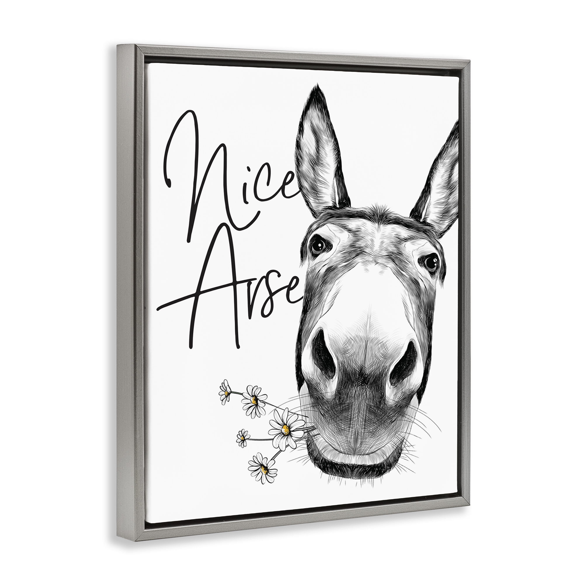 Stupell Industries Nice Arse Donkey Pun Animals & Insects Painting Gray Floater Framed Canvas Art Print Wall Art, 17 x 21