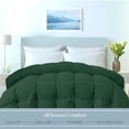 thumbnail image 2 of ROYALE LINENS Comforter - Queen Size Duvet Insert - All Season Soft Quilted Comforters with 8 Corner Tabs - Down Alternative Bedding Comforter - Box Stitched Duvet Insert (Green, Queen 88"x88"), 2 of 9