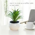 thumbnail image 3 of 4pcs Medium Round Plastic Pots Simulation Succulents Bonsai Creative Small Ornaments Simulation Flower Pot Planting, 3 of 5