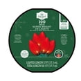 thumbnail image 6 of Indoor/Outdoor 100-Count LED Smooth C9 Christmas Lights, Red, 57', Holiday Time, 6 of 6
