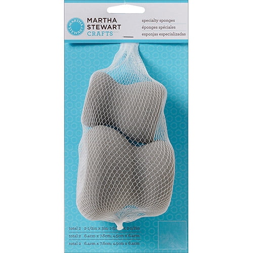 Martha Stewart Specialty Sponge Set, 2/Set