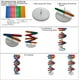 thumbnail image 4 of Modelos de ADN, modelo de doble hélice, componentes, ciencia, instrumento educativo, juguete didáctico, 4 of 8