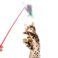thumbnail image 3 of 5 uds gato gatito mascota Teaser pavo ratón palo interactivo juguete Ndcxsfigh Nuevos Originales, 3 of 6