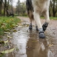 thumbnail image 5 of Dog Shoes Dip Coating Waterproof Durable Shoe Covers and Socks for Pet Comfort in Outdoor Scenarios, Black Size M, 5 of 6