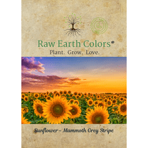 Raw Earth Colors Plant. Grow. Love. 100 Mammoth Sunflower Seeds