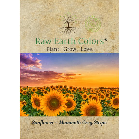 Raw Earth Colors Plant. Grow. Love. 100 Mammoth Sunflower Seeds