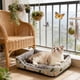 thumbnail image 5 of CaiYueKe Plush Dog Bed for Small Medium Large Dogs Cats, Orthopedic Soft Pet Bed with Removable Washable Cover, Non-Slip Base, Cushioned Support for Kennel Crate Sofa, Warm Cozy Comfort Pet Bed, 5 of 7