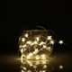 thumbnail image 2 of Cadena Botón De Luz De Hadas Funciona Con Pilas De Agua Lámpara De Alambre De Cobre Lámpara De Cadena Para Interiores Y Exteriores De Boda De Navidad (Color Blanco Cálido) 3M / 9.8Ft 30-Led Luces Speravity HA026113-01, 2 of 6