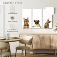 thumbnail image 4 of Elephant Stock Pug And Cats Wall Art - Horizontal Multi Panel Canvas - Living Room Wall Decor - Animal Multi Panel - White And Brown Decor - 57" x 36", 4 of 4