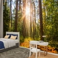 thumbnail image 2 of Peel and Stick Wallpaper Beautiful morning forest Sun rays spring forest Modern Art Wall Mural Decor Self Adhesive and Removable 100in x 144in, 2 of 8