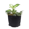 thumbnail image 1 of OULII 6Pcs Flower Grow Container Non Woven Fabric Black for Patio Gardens, 1 of 7