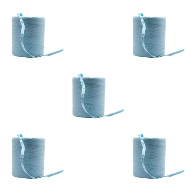 Youkk Wide Application Raffia Yarn For Various DIY Projects And Durable Beautiful sky blue 5Set