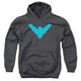 thumbnail image 2 of Trevco Batman/Nightwing Symbol Youth Pull-Over Hoodie in Charcoal, 2 of 2