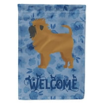 Carolines Treasures CK5962CHF Affenpinscher 1 Welcome Flag Canvas House Size Large multicolor