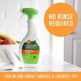thumbnail image 2 of Seventh Generation  Disinfecting Multi-Surface Cleaner, 2 of 3