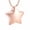 Rose, variant on Little Star Urn Necklace for Ashes Holder Cremation Urn Jewelry for Memorial Urn Necklace for Women Men