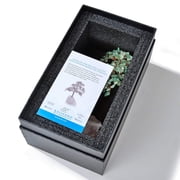 Kalifano K965R-AV Aventurine Bonsai Tree of Life with 414 Crystals