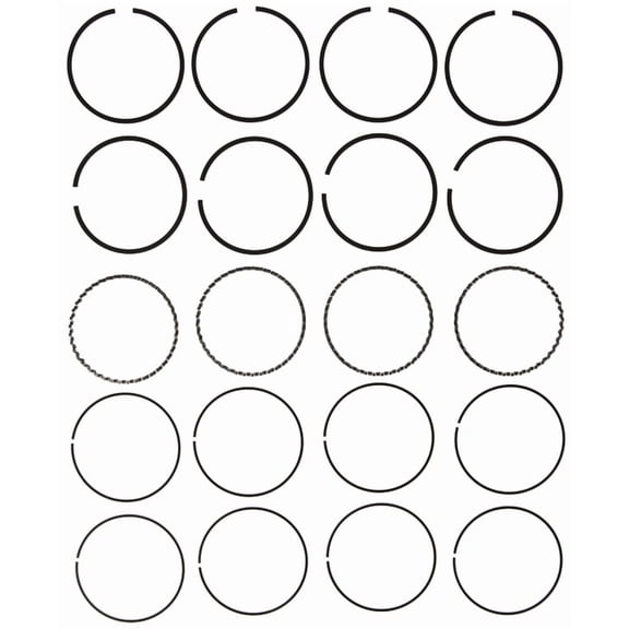 PERFECT CIRCLE RING SET