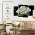 thumbnail image 4 of Elephant Stock Dewdrops On White Rose Wall Art - Horizontal Multi Panel Canvas - Living Room Wall Decor - Floral And Botanical Multi Panel - Black And White Decor - 24" x 14", 4 of 4