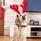 thumbnail image 5 of Collar para perro Elegant Little Tail M 32-56 cm con estampado navideño, 5 of 5