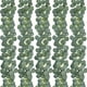 thumbnail image 1 of Paquete de 5 guirnaldas de eucalipto artificial Greenery Eucalyptus Vines Faux Silver Dollar Eucalyptus Strands para la decoración del jardín del banquete de boda MFZFUKR HMHZ673, 1 of 6